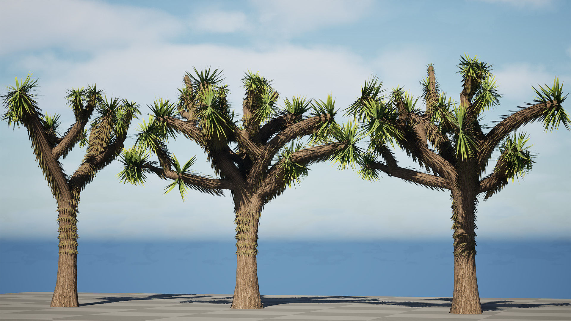 Joshua Tree 3D Models Low-poly 3D model_8