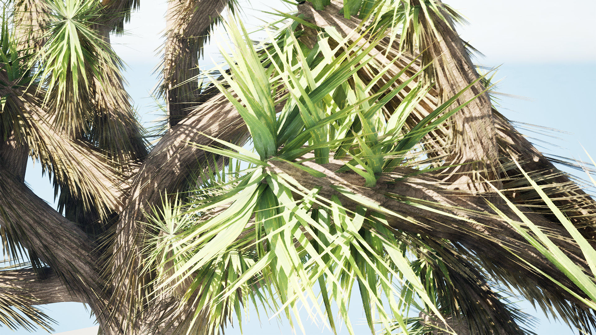 Joshua Tree 3D Models Low-poly 3D model_9