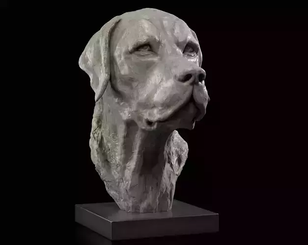 Labrador Retriever - Dog Bust  3D print model