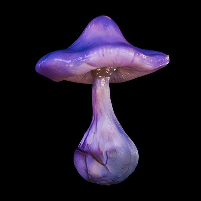 Purple Mushroom Megapack 3D print model_16