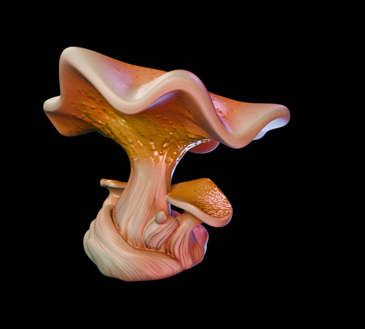 Trippy Mushroom Pack Low-poly 3D model_14