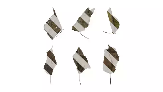 Anydrafts Broussonetia papyrifera Leaf 06