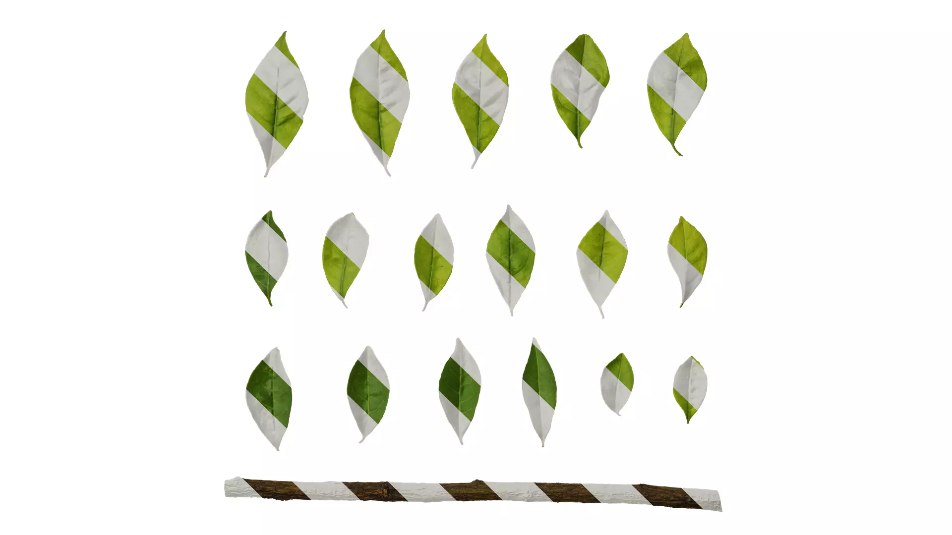 Anydrafts Brunfelsia latifolia Leaf 02 Texture