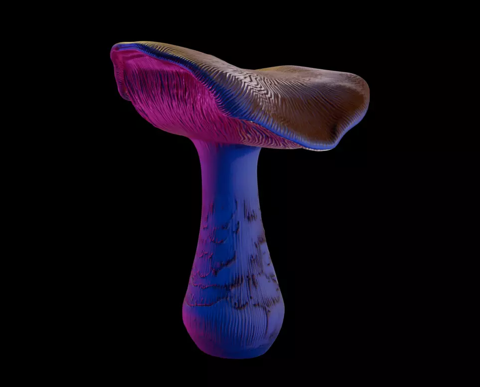 Golden Mushrooms Megapack 3D print model_0