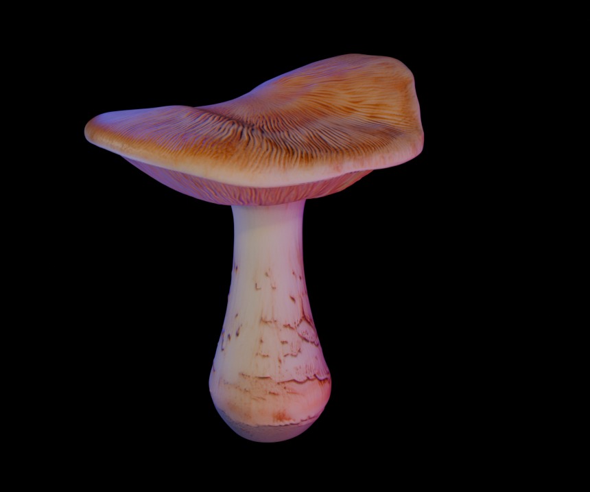 Golden Mushrooms Megapack 3D print model_19