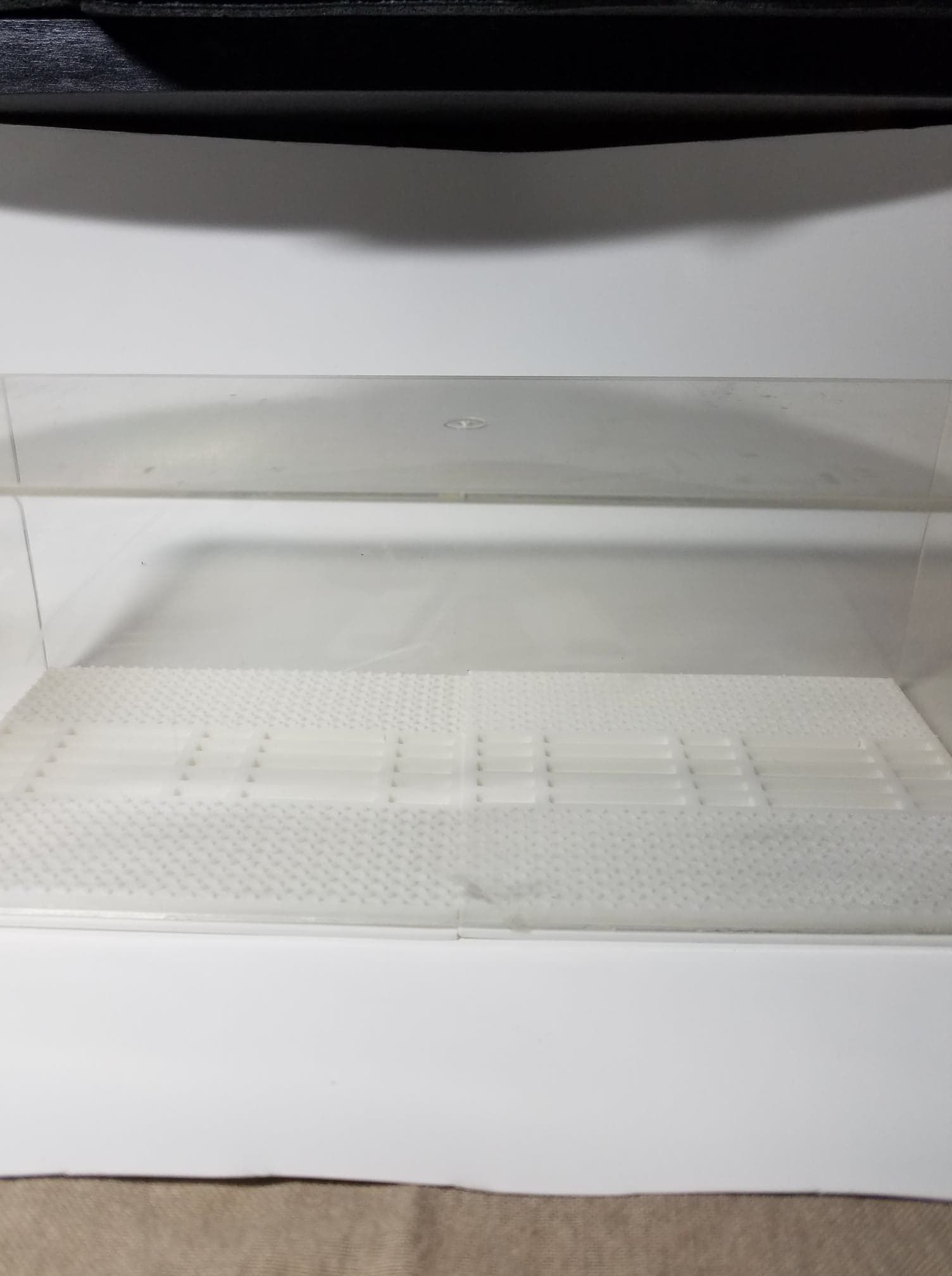 Display Case Bases Free 3D print model_3