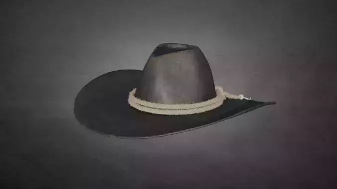 Cowboy hat 