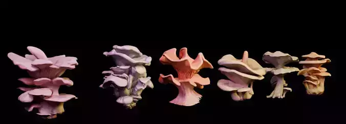 Edible Mushroom Pack  Low-poly 3D model
