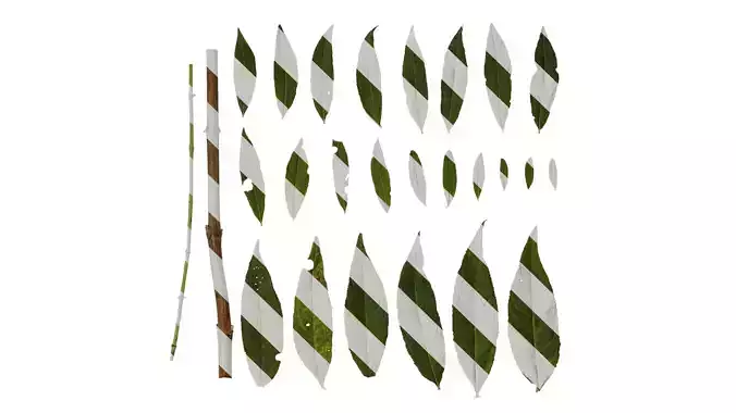 Anydrafts Buddleja lindleyana Leaf 03