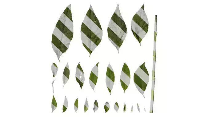 Anydrafts Buddleja officinalis Leaf 01