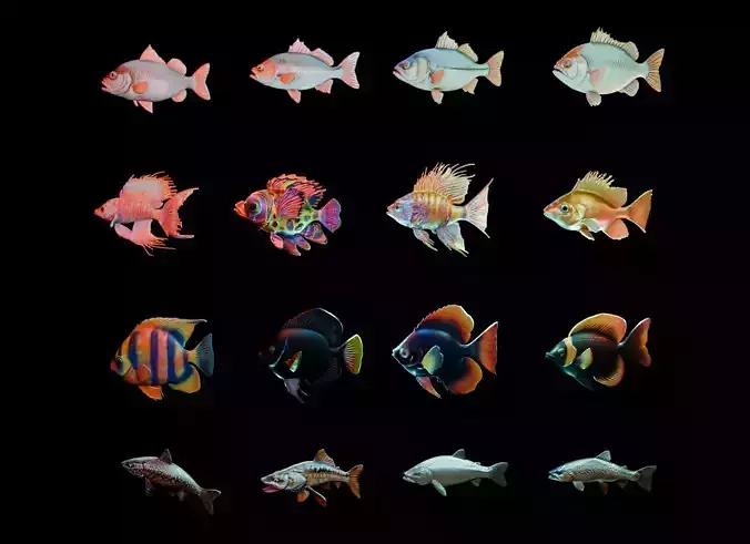 Tropical Freshwater Fish Pack