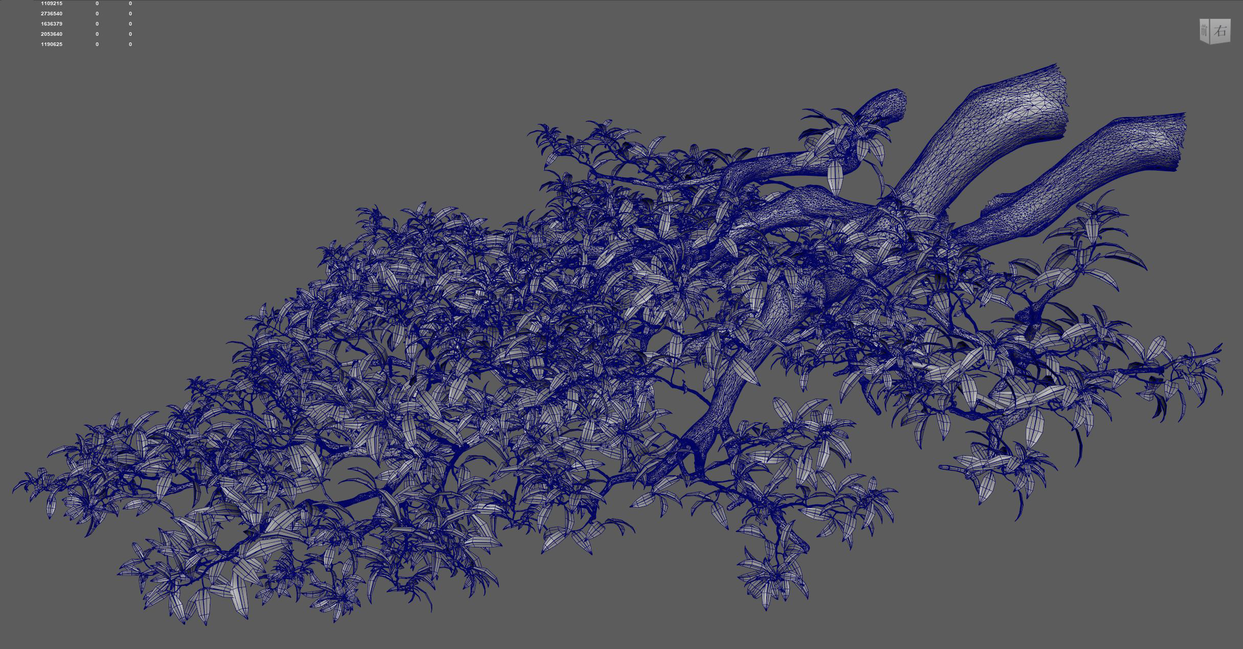 branch tree  3D model_2
