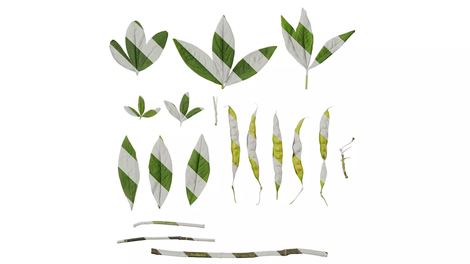 Anydrafts Cajanus cajan Atlas 03 Texture_0