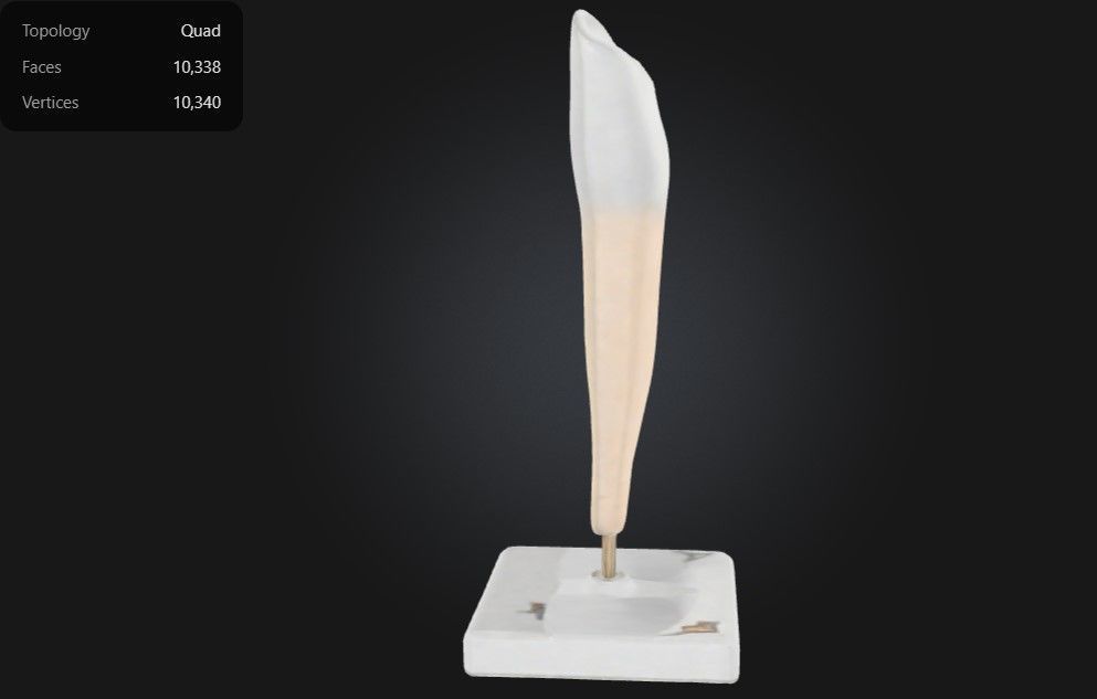 3D Model of Lower Canine Tooth 3D print model_5