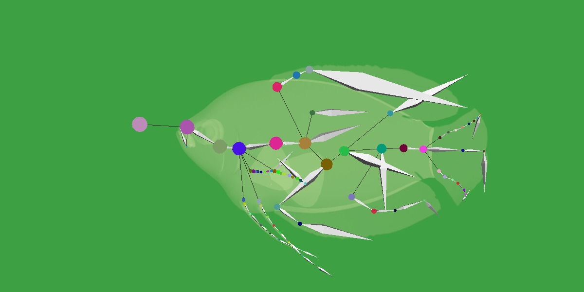 Gourami Fish Low-poly 3D model_23