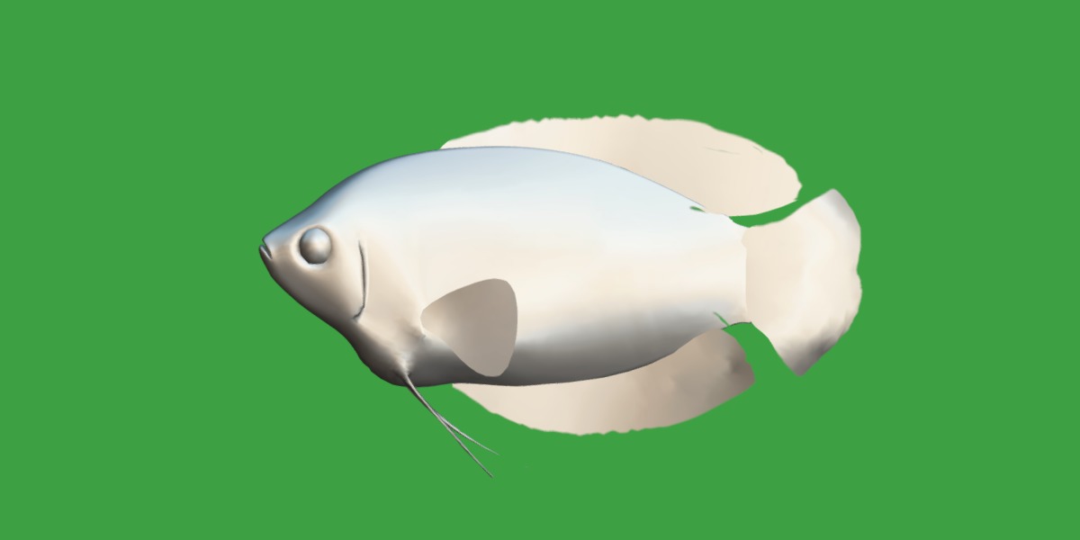 Gourami Fish Low-poly 3D model_10
