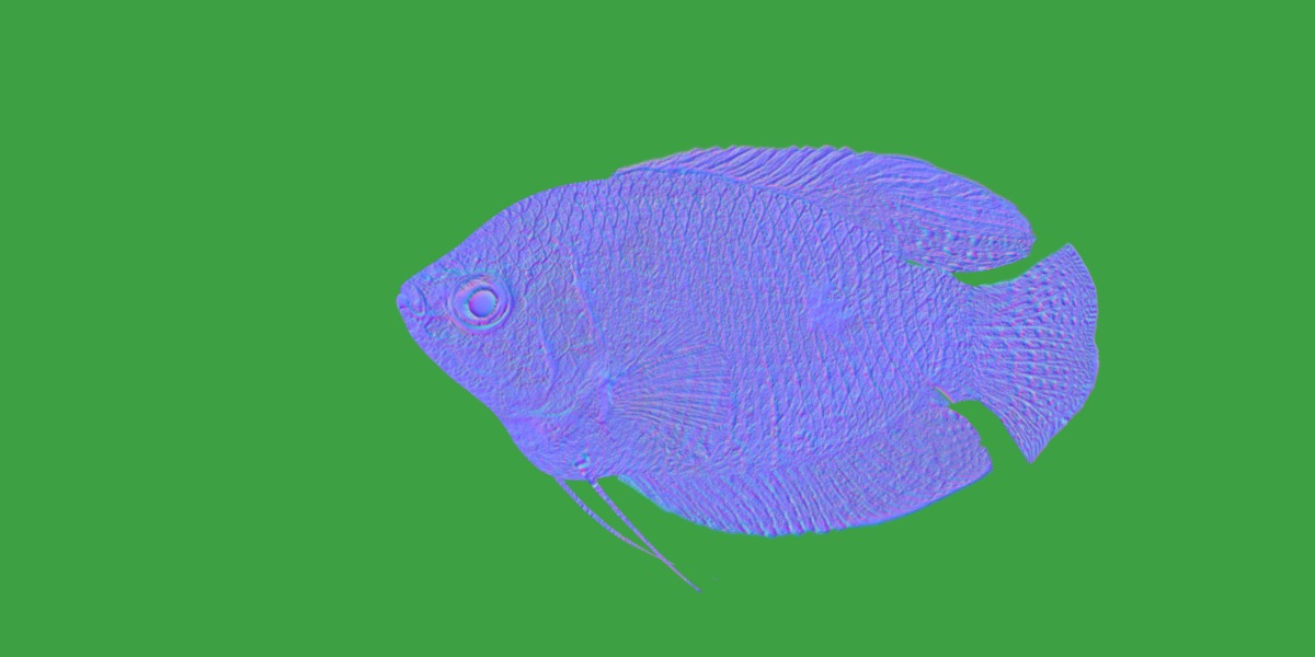 Gourami Fish Low-poly 3D model_5