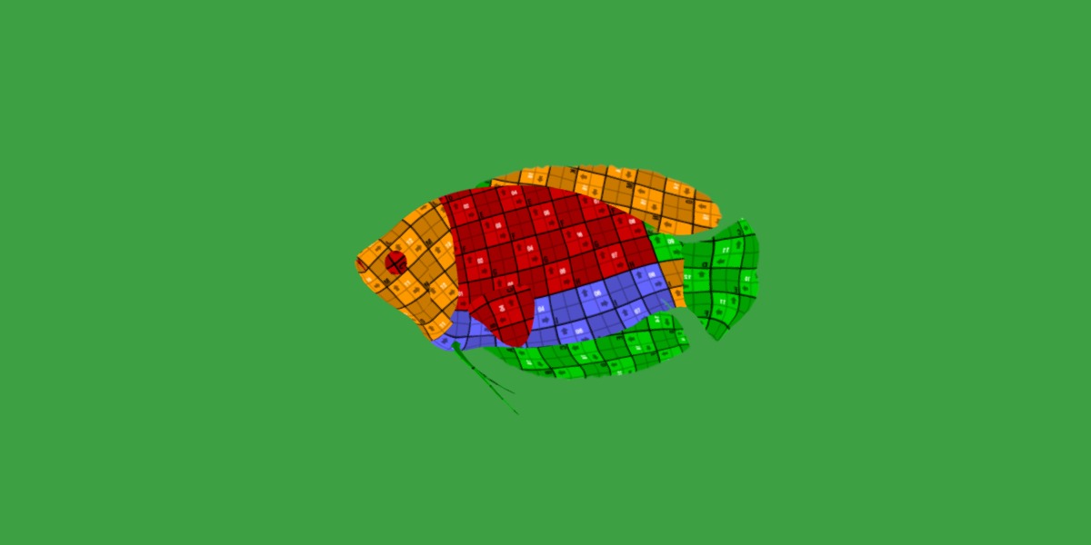 Gourami Fish Low-poly 3D model_19