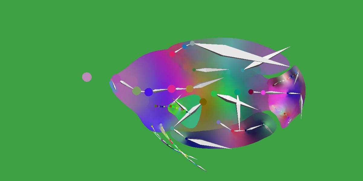 Gourami Fish Low-poly 3D model_26