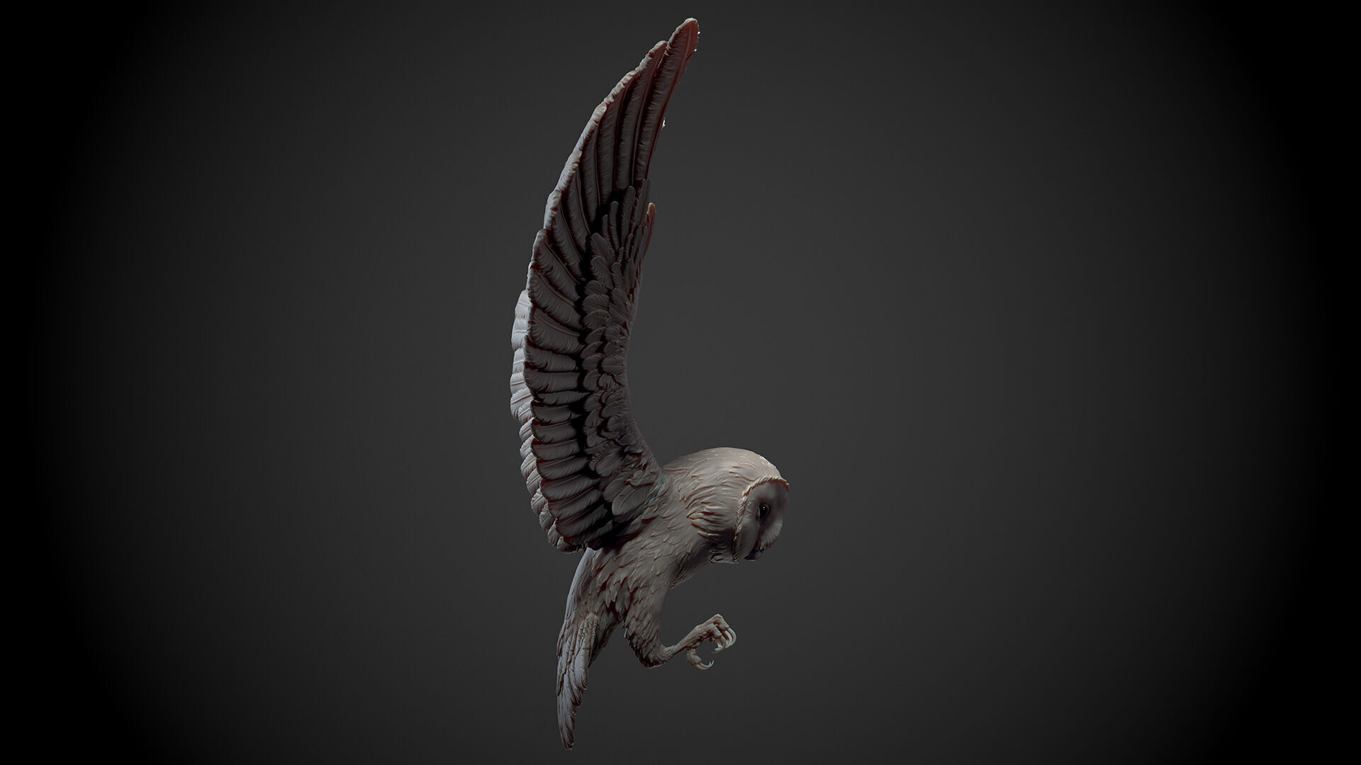 Flying Owl  -  3D Sculpting 3D print model_13