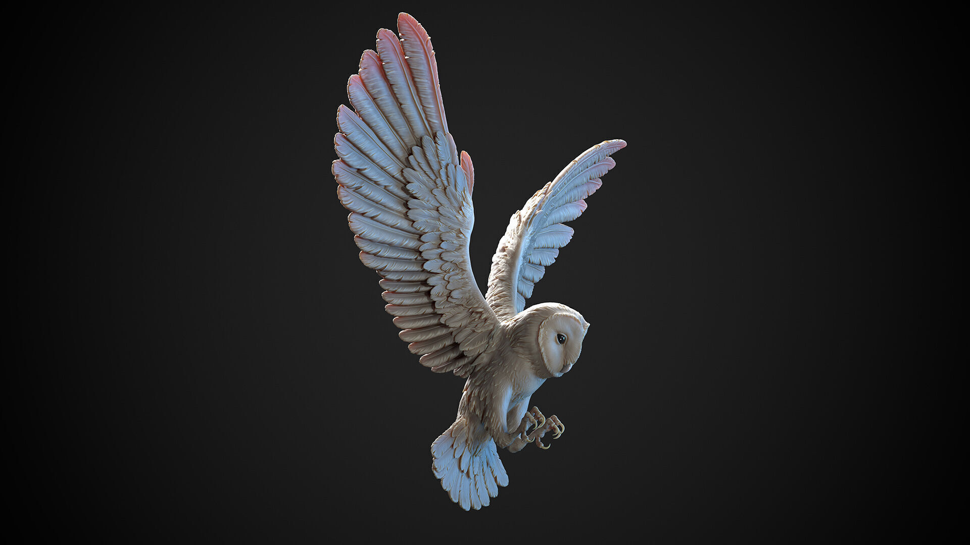 Flying Owl  -  3D Sculpting 3D print model_2