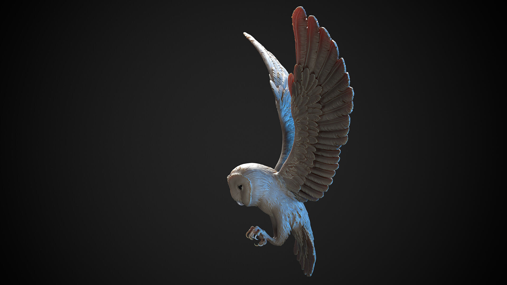 Flying Owl  -  3D Sculpting 3D print model_16