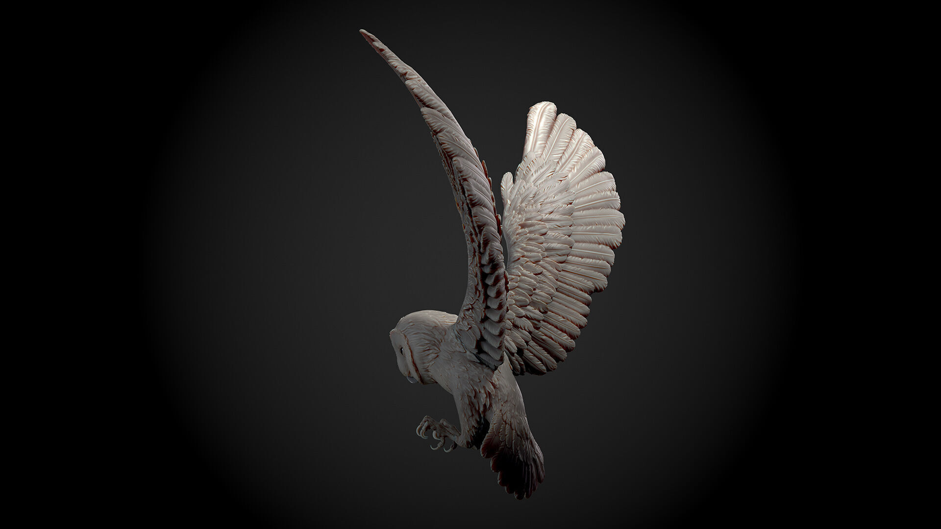 Flying Owl  -  3D Sculpting 3D print model_10