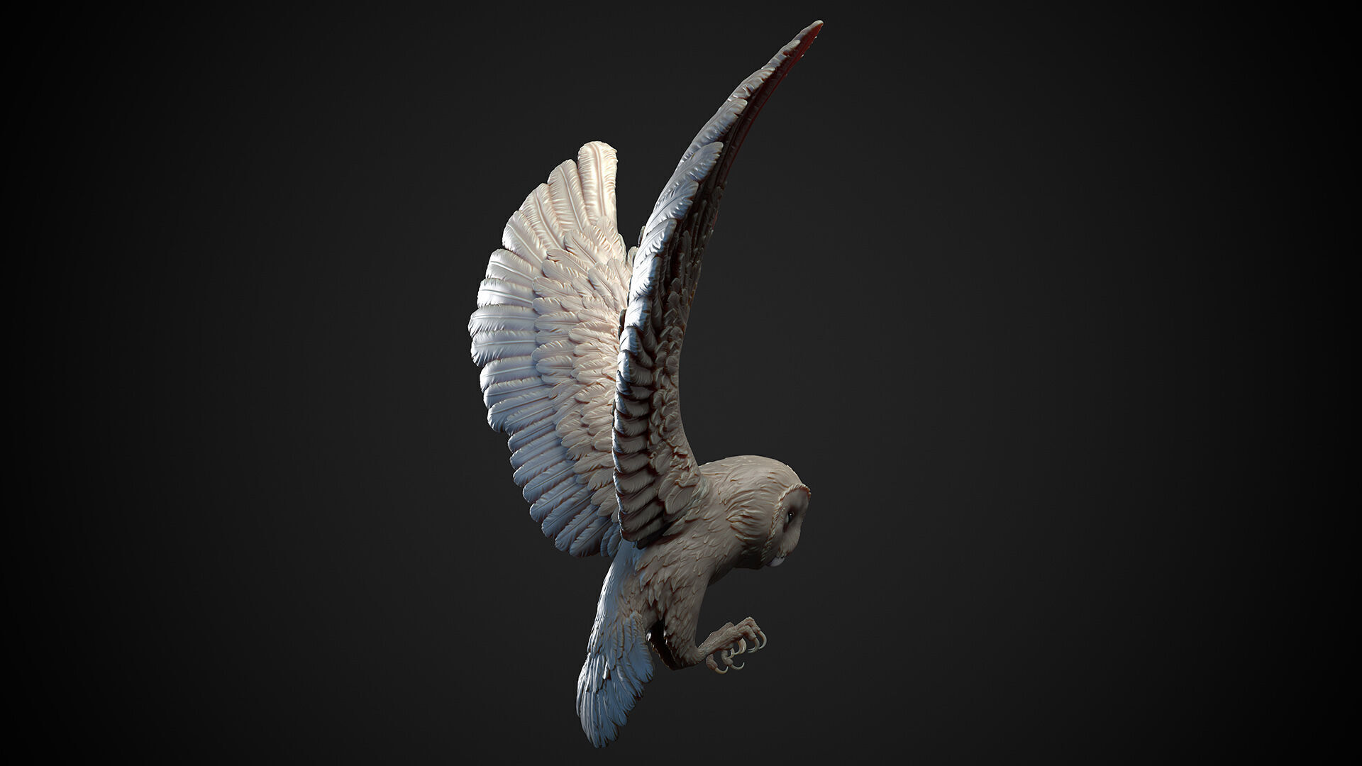 Flying Owl  -  3D Sculpting 3D print model_15