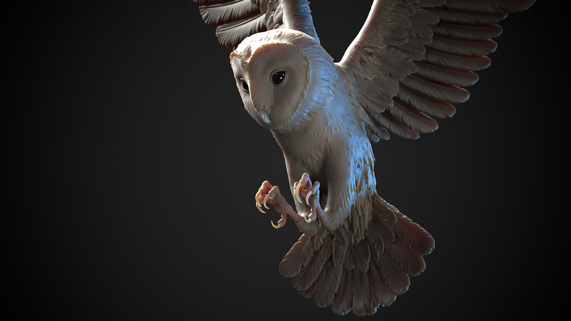 Flying Owl  -  3D Sculpting 3D print model_3