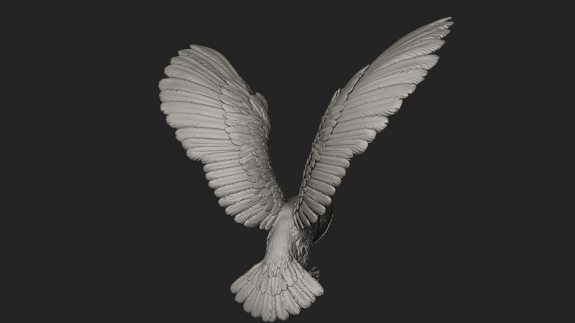 Flying Owl  -  3D Sculpting 3D print model_25