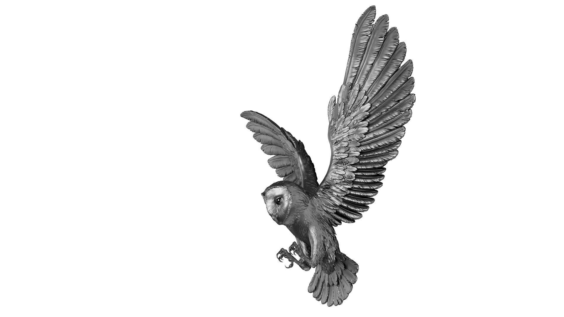 Flying Owl  -  3D Sculpting 3D print model_29