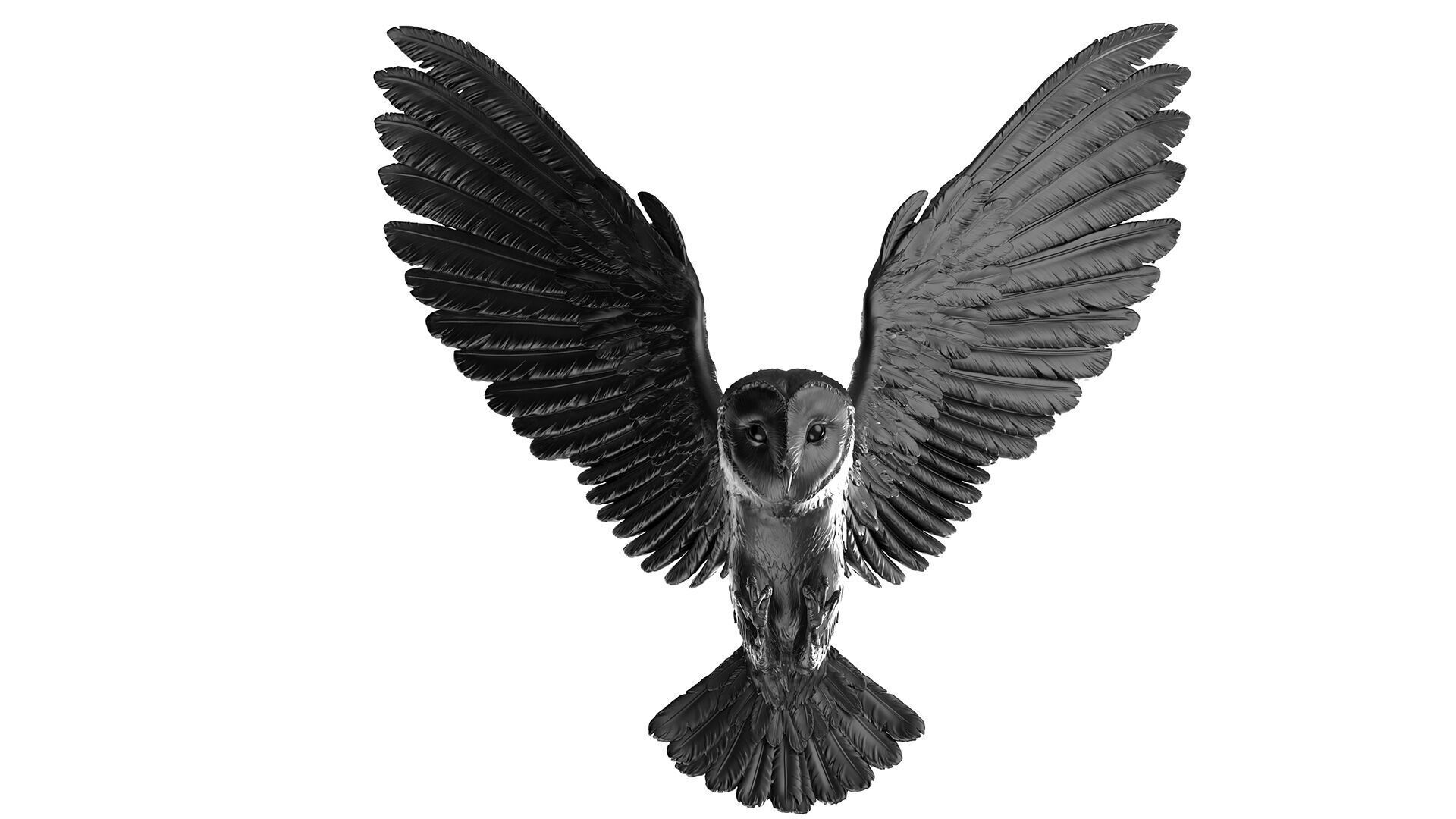 Flying Owl  -  3D Sculpting 3D print model_30