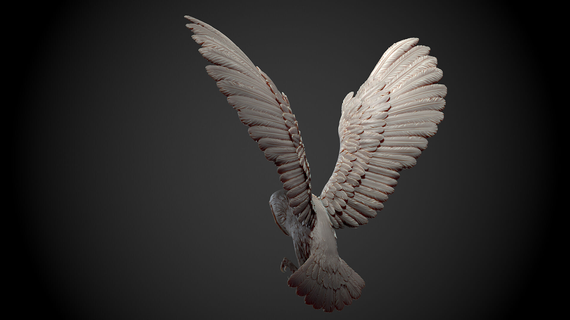 Flying Owl  -  3D Sculpting 3D print model_17
