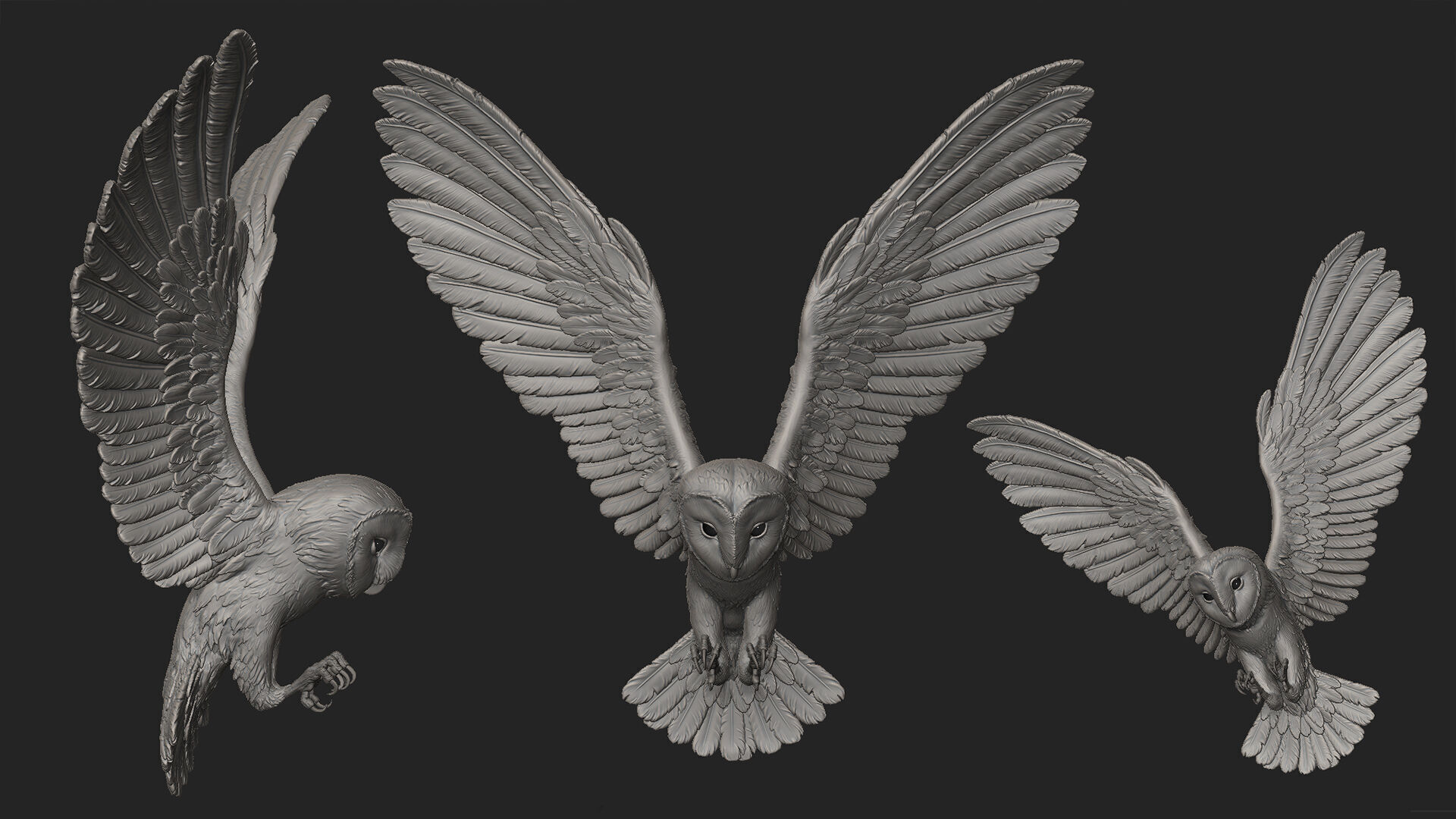 Flying Owl  -  3D Sculpting 3D print model_19