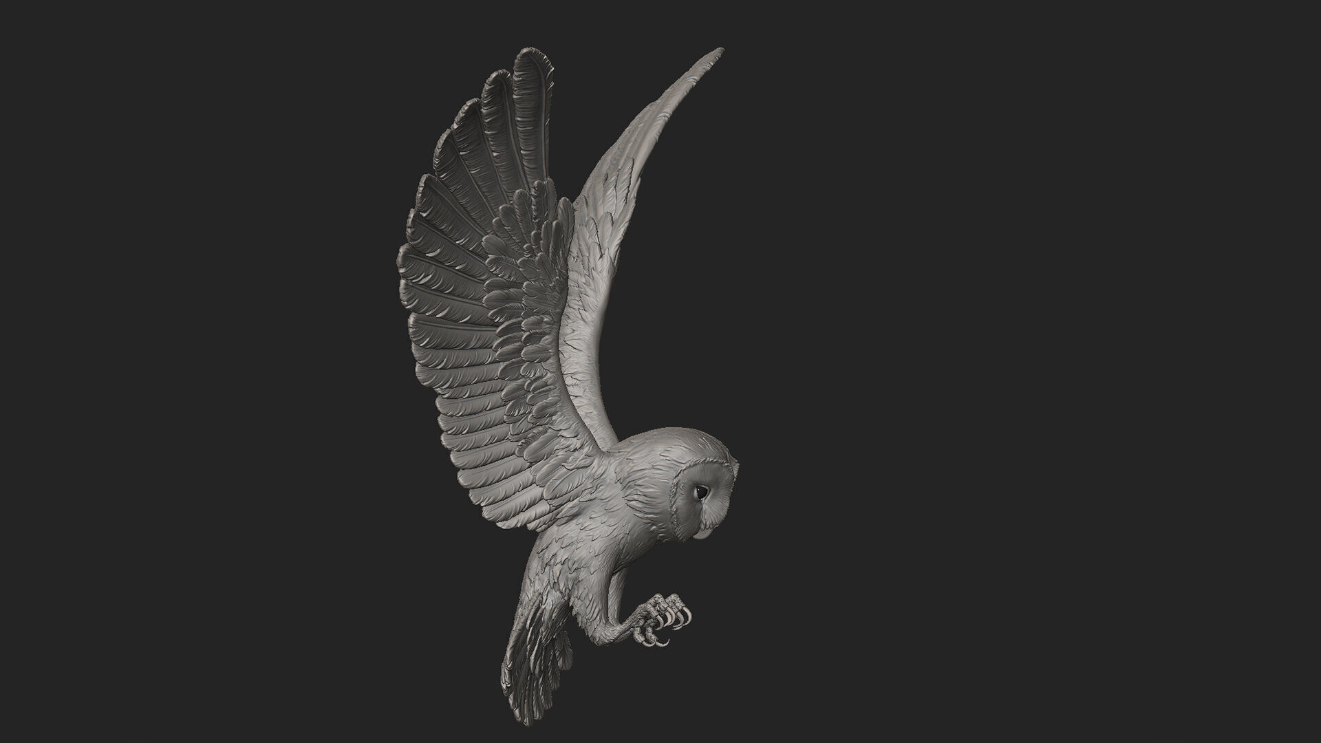 Flying Owl  -  3D Sculpting 3D print model_23