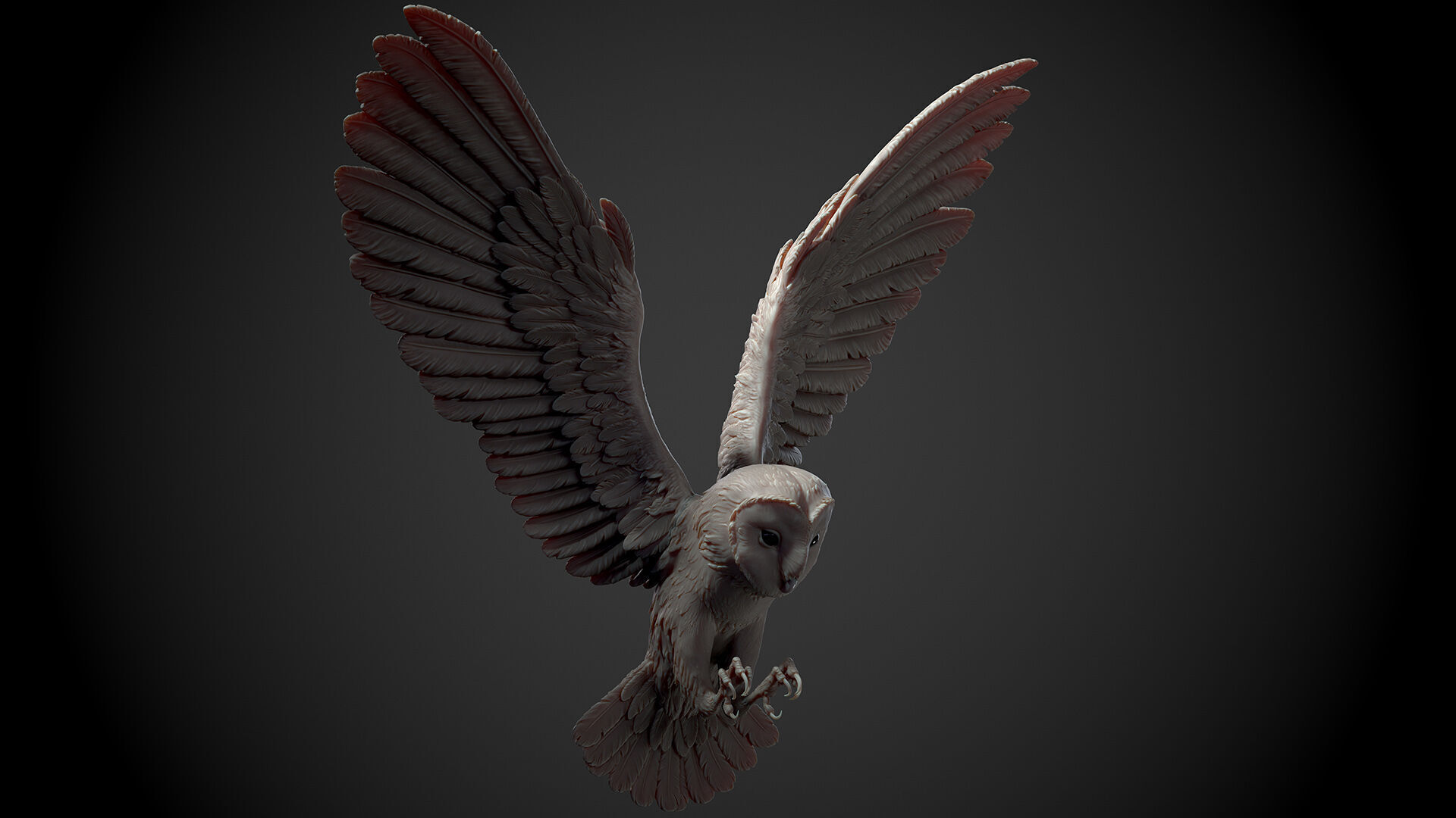 Flying Owl  -  3D Sculpting 3D print model_12