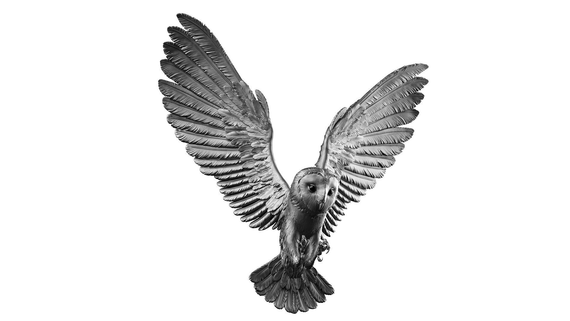 Flying Owl  -  3D Sculpting 3D print model_31