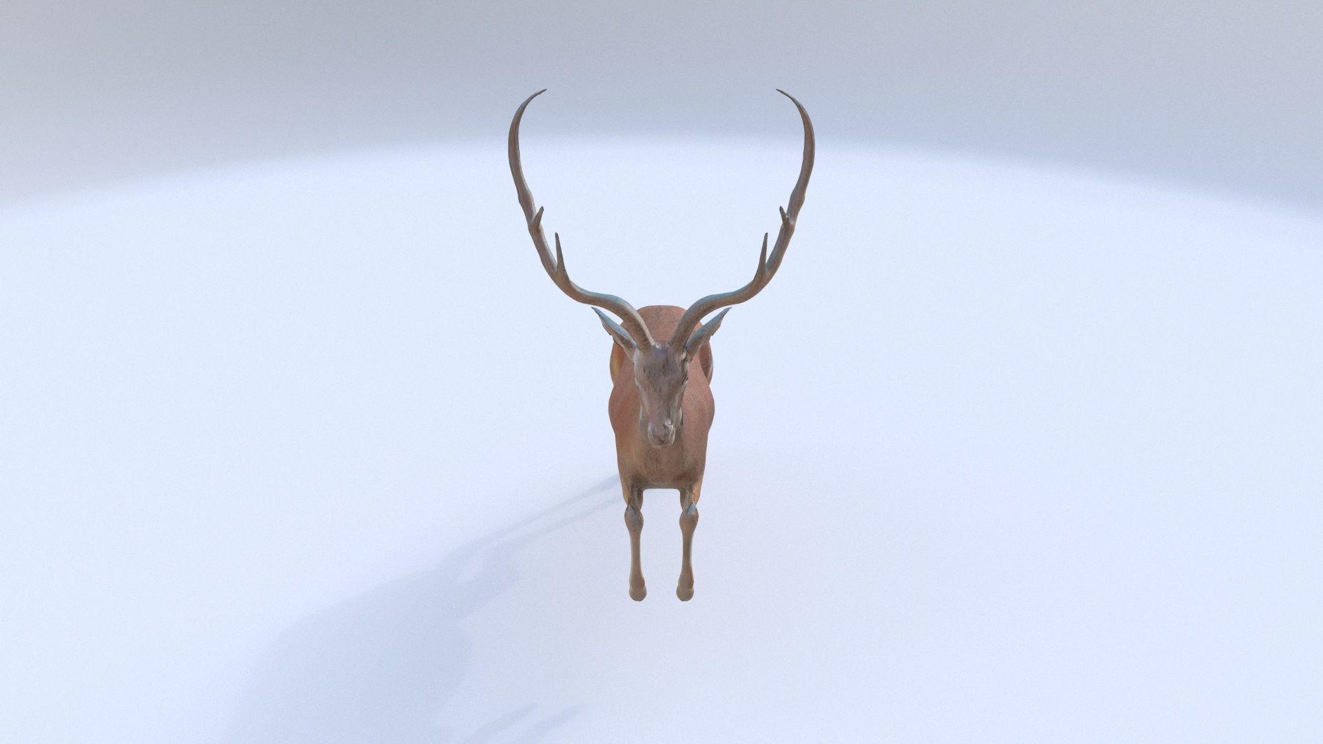 Antelope 3D model_1