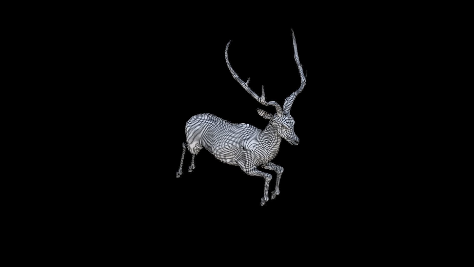 Antelope 3D model_5