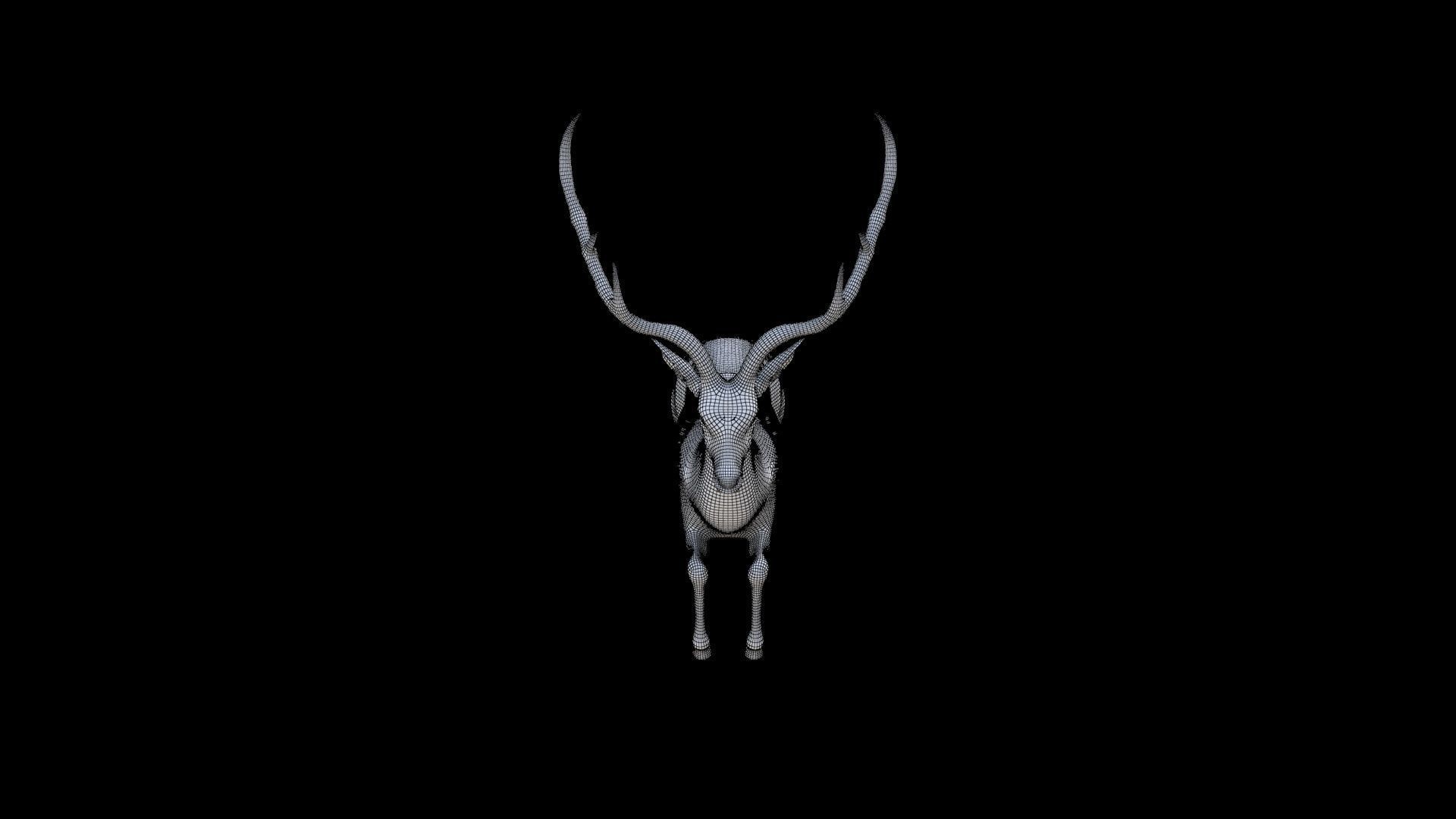 Antelope 3D model_6