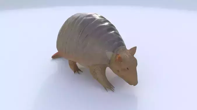 Armadillo 3D model