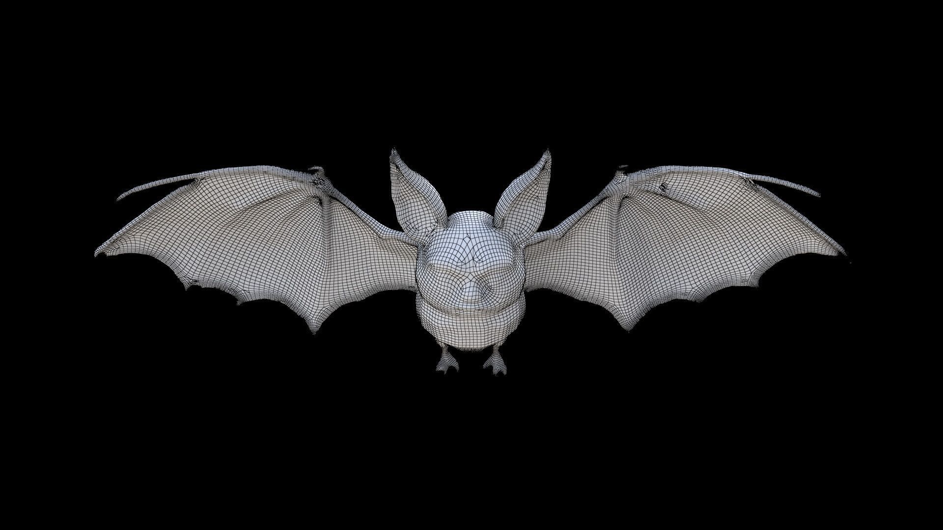 Bat 3D model_6