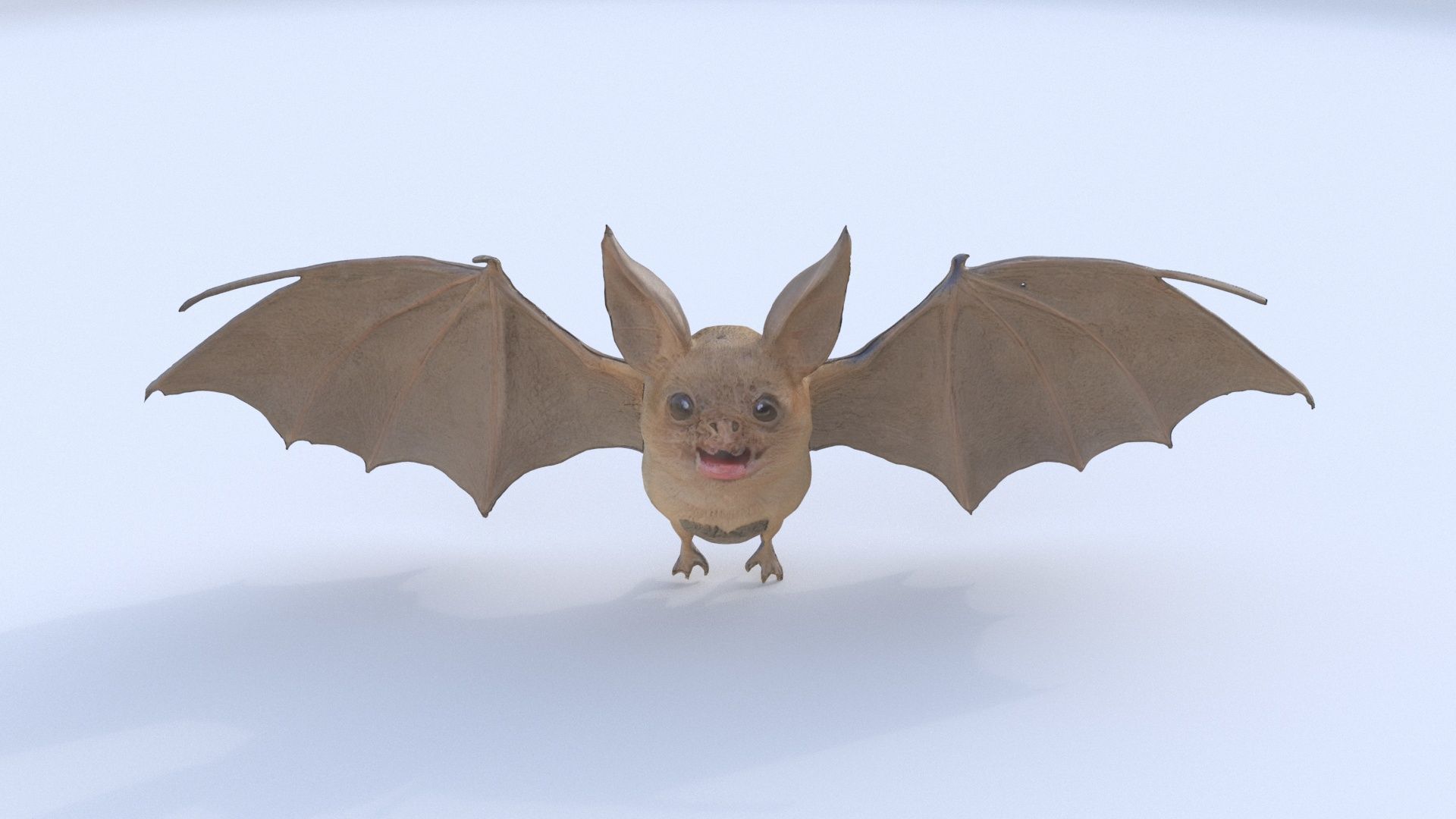 Bat 3D model_1