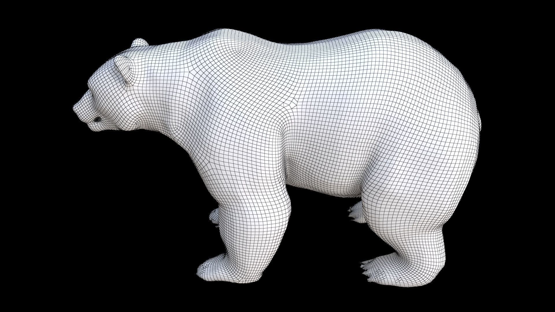 Bear 1 3D model_7