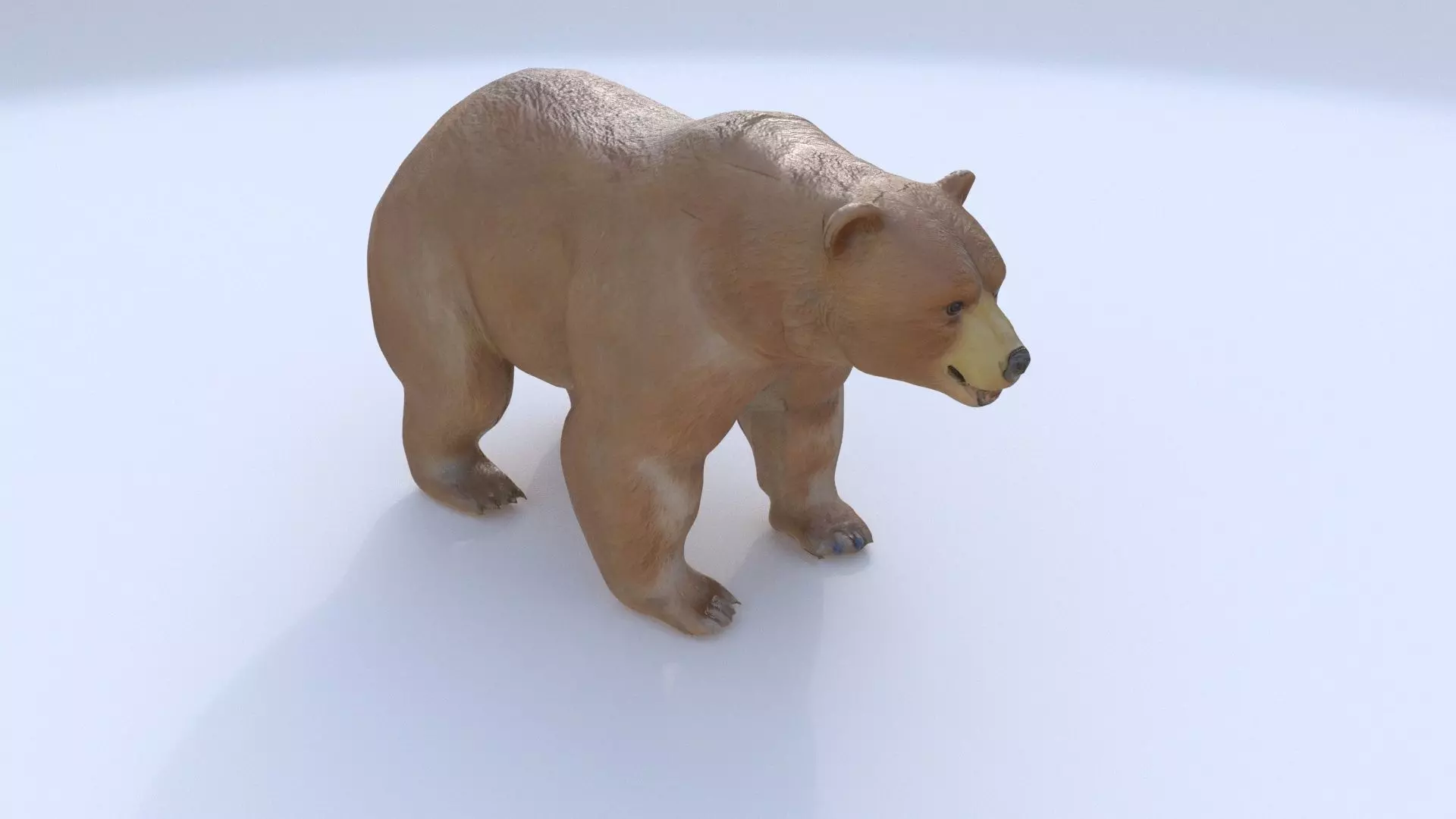 Bear 1 3D model_0