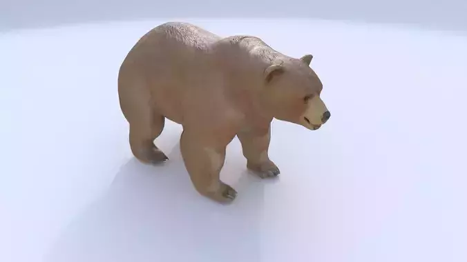 Bear 1 3D model