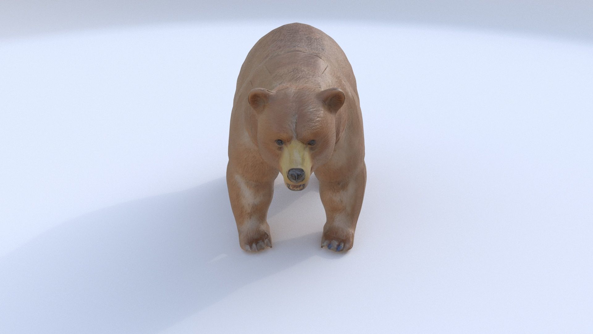 Bear 1 3D model_1