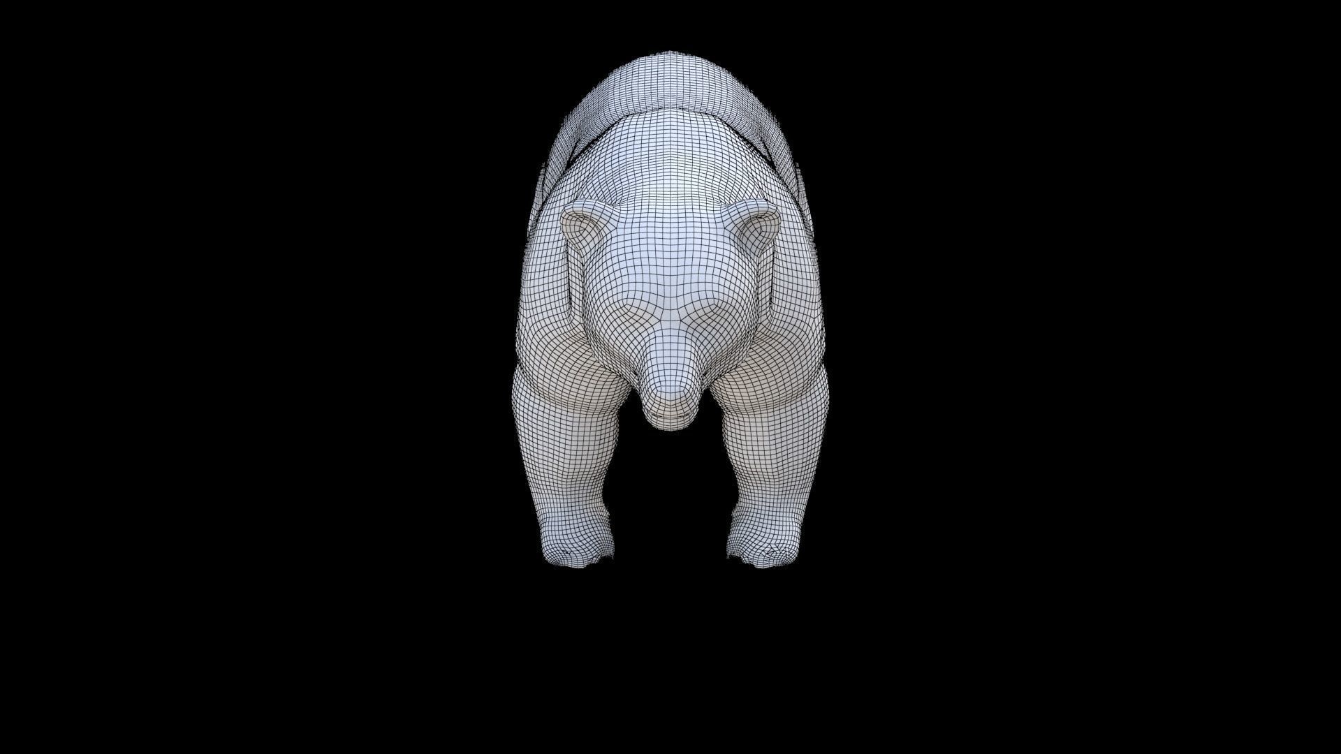 Bear 1 3D model_6