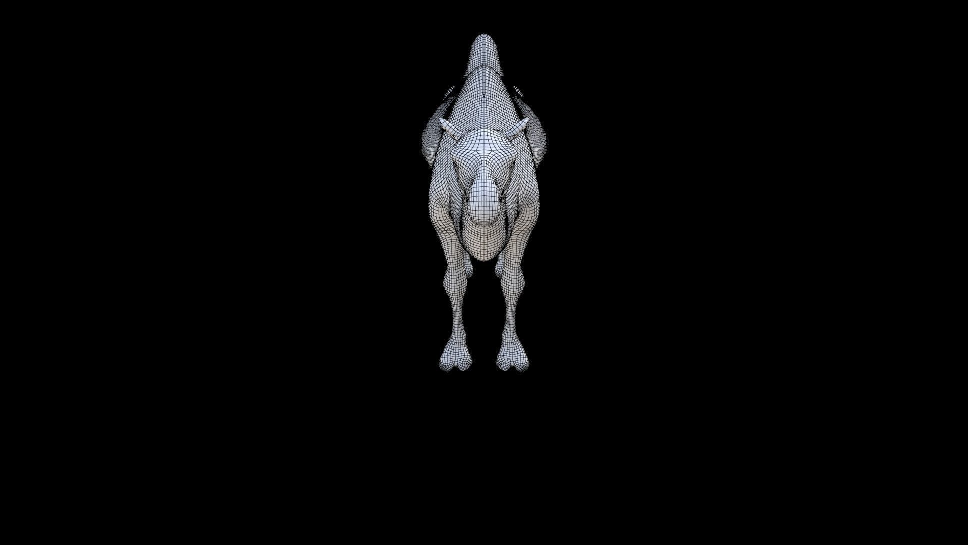 Camel 1 3D model_6