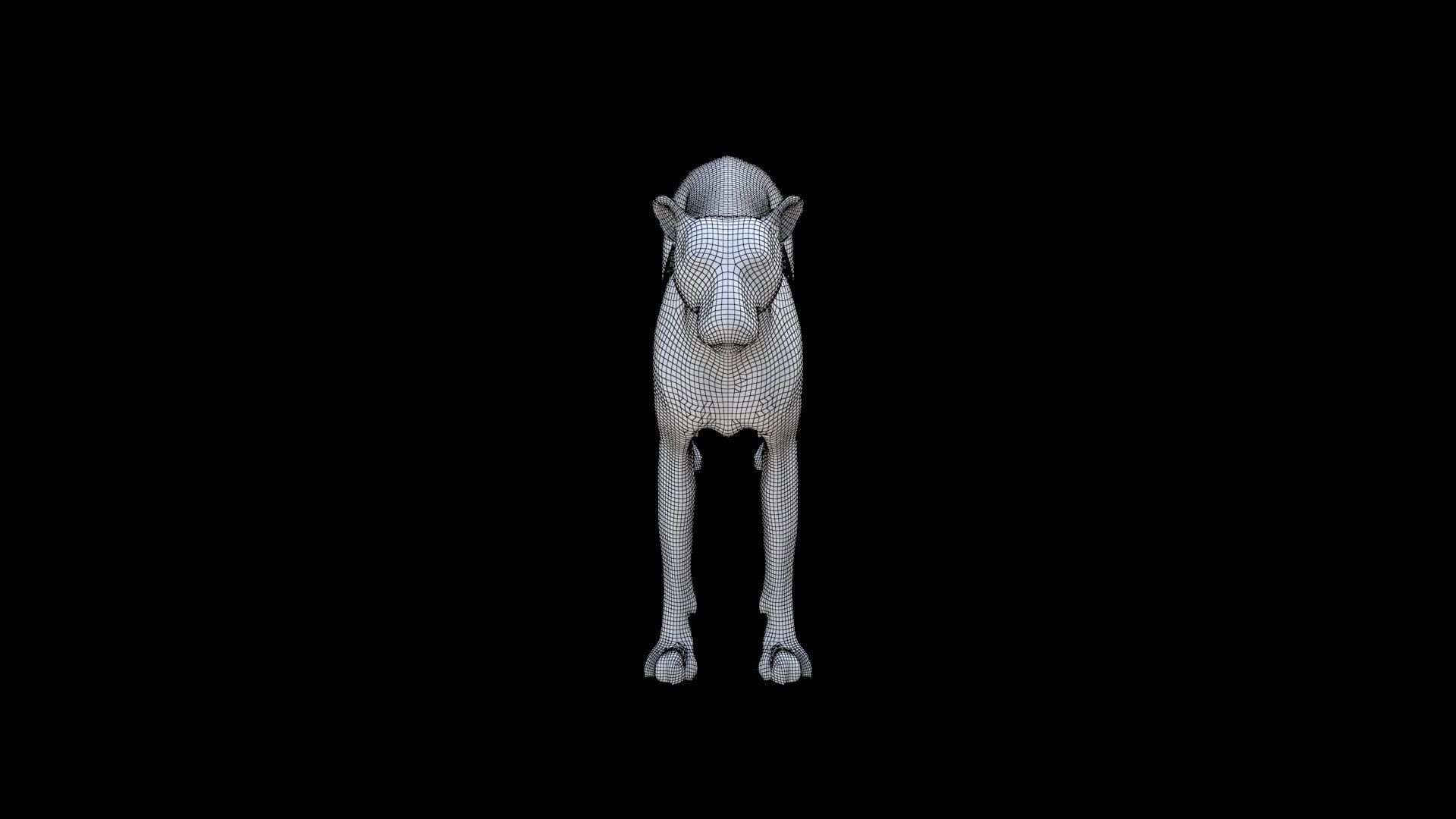 Cheetah 3D model_6